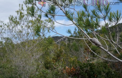 Sitges-club-trek-garraf042