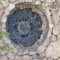 Sitges-club-trek-garraf078
