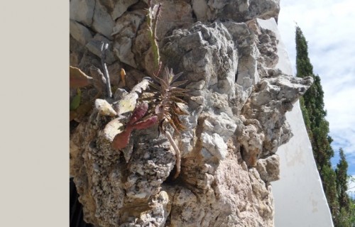 Sitges-club-trek-garraf090