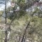 Sitges-club-trek-garraf106
