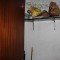 Sitges-club-trek-garraf178